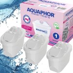 Aquaphor Maxfor+ B100-25 9 ks – Sleviste.cz