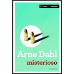 Misterioso - Dahl Arne – Hledejceny.cz