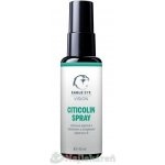 EAGLE EYE Vision CITICOLIN SPRAY orální sprej 40 ml – Zboží Mobilmania