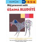 Úžasná bludiště - Můj pracovní sešit – Hledejceny.cz