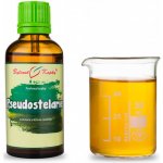Bylinné kapky Pseudostelarie (tinktura) 50 ml – Hledejceny.cz