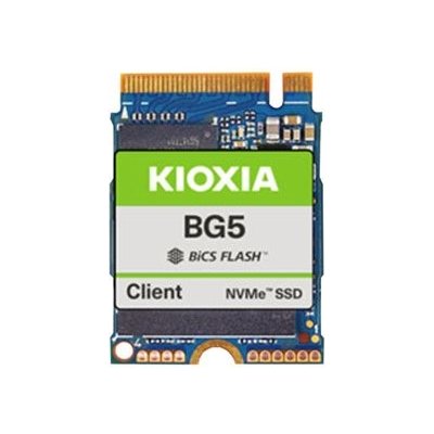 KIOXIA BG5 256GB, KBG50ZNS256G