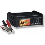 Banner Accucharger 12-10 | Zboží Auto