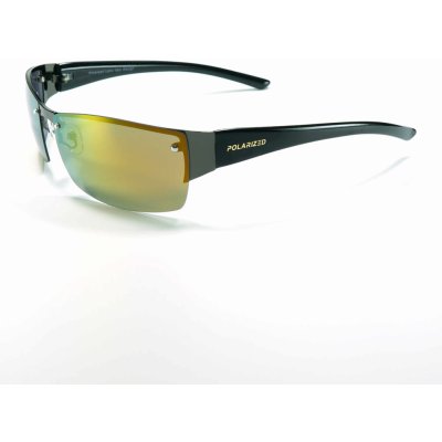 Polarized 2.210 REVO-B