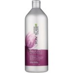 Matrix Biolage FullDensity Thickening Shampoo 1000 ml – Zbozi.Blesk.cz