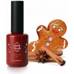NANI výživný olejíček Gingerbread 10 ml – Hledejceny.cz