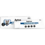 Aptus Reconvalescent Cat pasta pro kočky 60 g – Zbozi.Blesk.cz