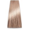 Barva na vlasy ProSalon Professional 10/32 100 g