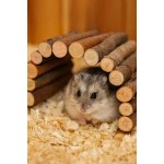 Small Animal Jewel prolézačka proutěná 22 x 10 cm – Sleviste.cz