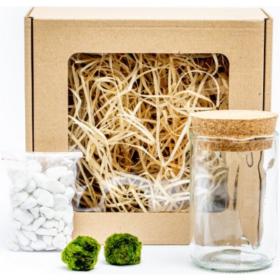 Gardners Skleněná váza Lipia výška 11,5 cm a 2 řasokoule v dárkovém balení Cladophora Aegagropila – Sleviste.cz