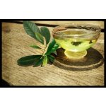 Fichema Tea Tree oil 100% čistý čajovníkový olej 500 ml – Hledejceny.cz