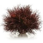 BiOrb Sea lilies karmínová 11 cm – Hledejceny.cz