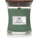 WoodWick Mint Leaves & Oak 85 g – Sleviste.cz