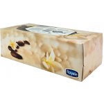 Royale papírové kapesníčky v krabičce 2-vrstvé 126 ks – Zboží Dáma