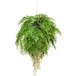 Umělé květiny Závěsné aranžmá Kapradí s kořeny, 80cm – Zboží Dáma
