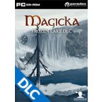 Magicka: Frozen Lake – Hledejceny.cz