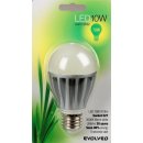 Evolveo EcoLight LED žárovka 10W 810lm E27 Teplá bílá