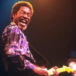 Live In Chicago - Luther Allison CD – Hledejceny.cz