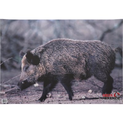 Black Flash Archery Terč na lukostřelbu Divočák – Zbozi.Blesk.cz