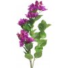 Květina Bugenvilea - Bougainvillea spray fialová / beauty V96 cm