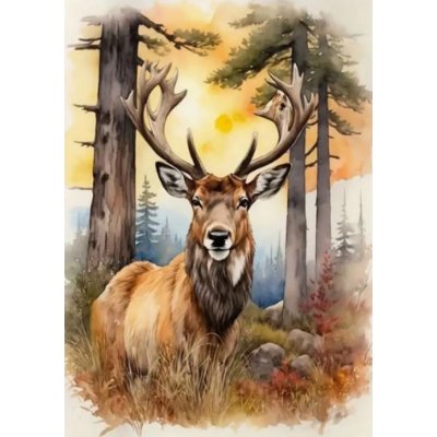 Norimpex Diamantový obrázek malování 30 x 40 cm Jelen – Hledejceny.cz