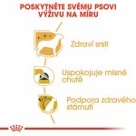 Royal Canin Yorkshire Terrier Adult 2 x 7,5 kg – Zboží Mobilmania