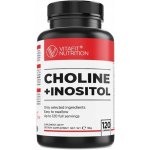 Vitafit Cholin + Inositol 120 kapslí – Hledejceny.cz