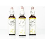 Bachovy květové esence Sveřep větevnatý Wild Oat 20 ml – Hledejceny.cz