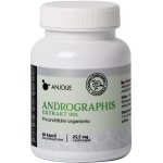 Anjolie Andrographis 98% extrakt 60 kapslí – Hledejceny.cz