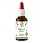 Salvia Paradise Rýmovník citronový AF tinktura 50 ml – Hledejceny.cz
