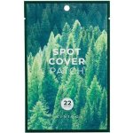 SKIN 1004 CO.LTD Spot Cover Patch 22 ks – Zboží Dáma