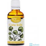 Serafin Gotukola tinktura z pupenů 50 ml – Hledejceny.cz