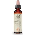 Bachovy květové esence Kaštan červený Red Chestnut 20 ml – Hledejceny.cz
