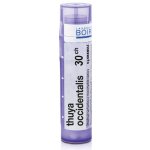 THUYA OCCIDENTALIS POR 30CH GRA 4G – Hledejceny.cz