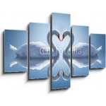 Obraz 5D pětidílný - 150 x 100 cm - Romantic two swans, symbol of love. Romantické dvě labutě, symbol lásky. – Hledejceny.cz