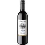 Garcia Carrion Belle Grove Syrah Suché červené 13% 0,75 l (holá láhev) – Hledejceny.cz