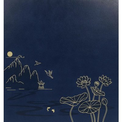 Fotoalbum 10x15 pro 1000 fotek Lotus-blue – Zboží Živě