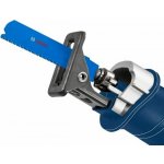 Bosch Professional Pilový plátek S 1243 HM 2608900417 – Sleviste.cz