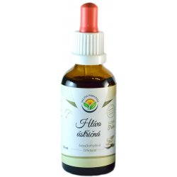 Salvia Paradise Hlíva ústřičná AF tinktura 50 ml