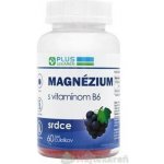 Plus Lekáreň Magnézium + vitamín B6 příchuť hrozno 60 želé bonbonů – Hledejceny.cz