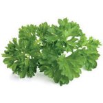 Emsa Click&Grow parsley seeds Smart Garden – Zbozi.Blesk.cz