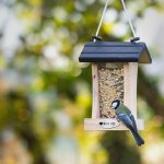 CJ Wildlife Krmítko pro ptáky Cleveland 16 x 15,2 x 23,2 cm dřevo – Zboží Dáma