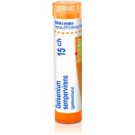GELSEMIUM SEMPERVIRENS POR 15CH GRA 1X4G – Hledejceny.cz