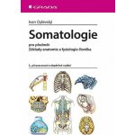 Ivan Dylevský: Somatologie - pro předmět Základy anatomie a fyziologie člověka,3., přepracované a doplněné vy – Hledejceny.cz