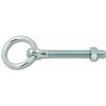 Oko se závitem M8 a kroužkem 32mm Zn – Hledejceny.cz