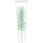 Mario Badescu Mint Lip Balm ultra výživný balzám na rty 10 g – Zboží Dáma
