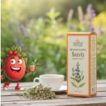 Grešík Bylinné kapky Šalvěj 50 ml – Hledejceny.cz
