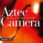 Aztec Camera - Deep and wide and tall/platinu CD – Hledejceny.cz