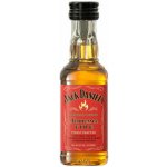Jack Daniel's Fire 35% 0,05 l (holá láhev) – Hledejceny.cz