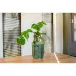 Ter Steege Váza Moon jungle D18 H25 – Hledejceny.cz